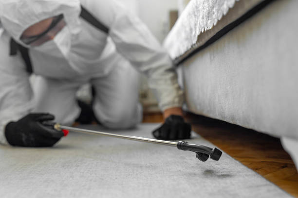 Professional Termite Control technician working in Benton Park, CA